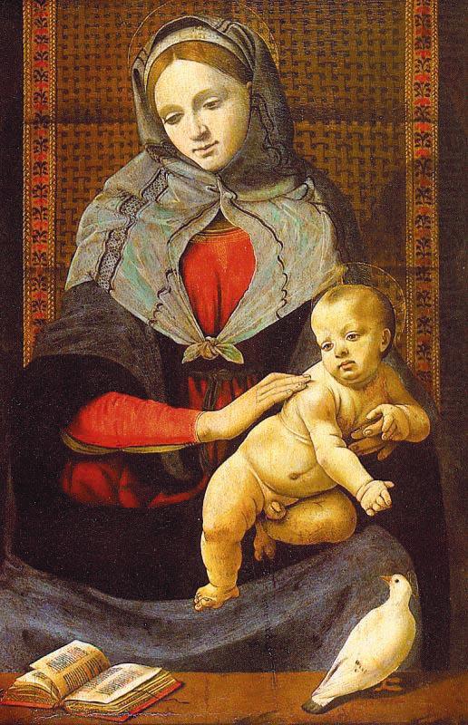 The Virgin Child with a Dove, Piero di Cosimo